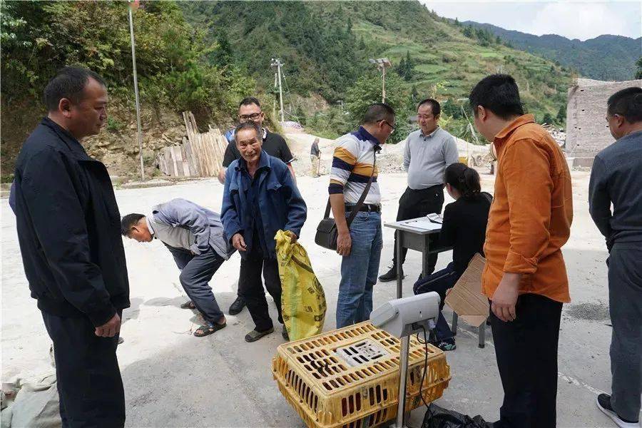 隆陽(yáng)區(qū)扶貧辦最新新聞，持續(xù)推進(jìn)脫貧攻堅(jiān)，助力鄉(xiāng)村振興