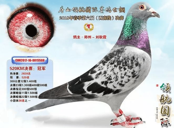 和平公棚春棚最新公告，推動(dòng)農(nóng)業(yè)可持續(xù)發(fā)展與生態(tài)和諧共融