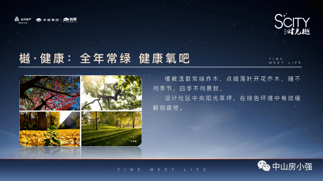 洞朗事件最新消息，進(jìn)展與影響分析