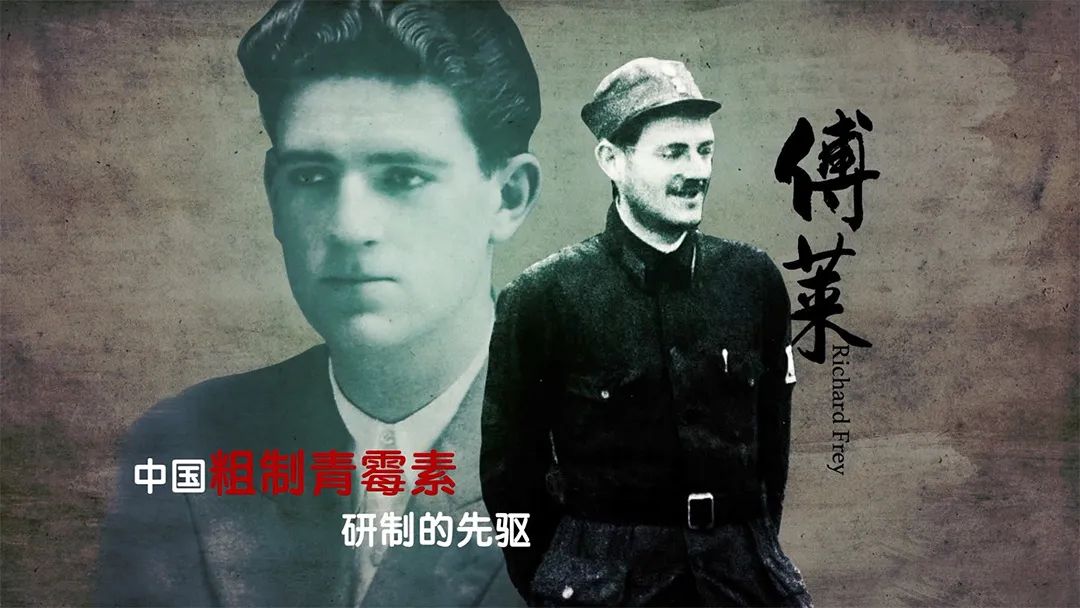 鳳凰衛(wèi)視龍行天下最新動(dòng)態(tài)，深度洞察全球時(shí)事熱點(diǎn)，引領(lǐng)國(guó)際視野新潮流