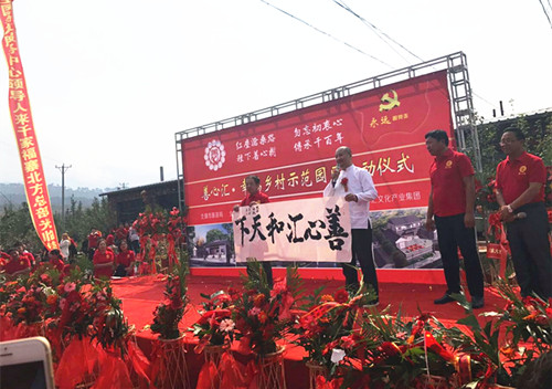 善心匯最新動態(tài)，今日消息一覽