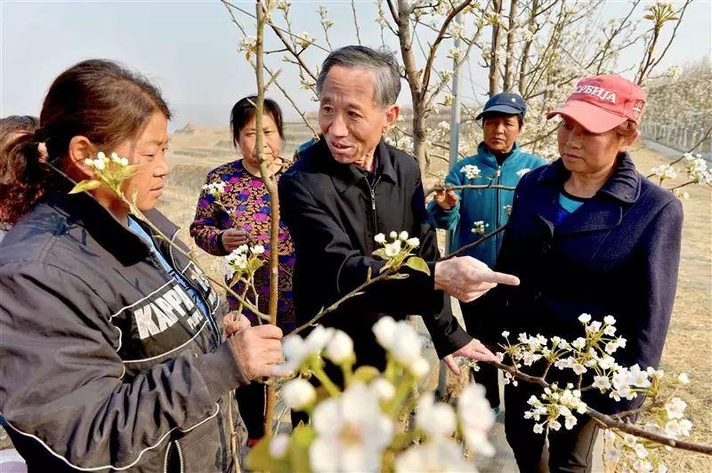 阜平縣城最新規(guī)劃圖，塑造未來城市的藍(lán)圖
