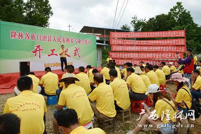 隆林扶貧搬遷最新消息，推動(dòng)脫貧攻堅(jiān)與鄉(xiāng)村振興并重前行