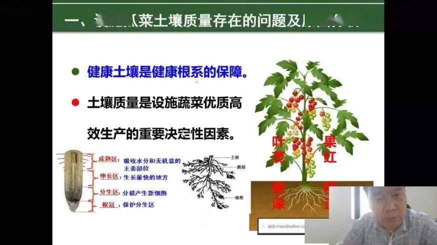 最新招聘果樹技術(shù)人員，掌握果樹科學(xué)，助力綠色產(chǎn)業(yè)發(fā)展