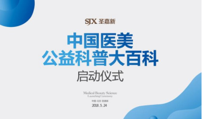 廈門最新追緝欄目第17期，深度解析城市安全新動向