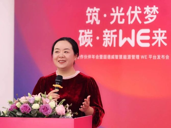 南方電網(wǎng)譚瓊的最新動(dòng)態(tài)，引領(lǐng)數(shù)字化轉(zhuǎn)型，助力能源革命