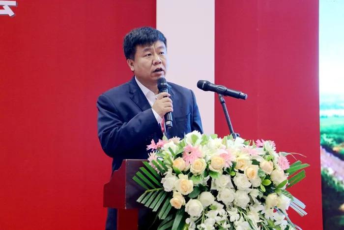 武清西部規(guī)劃最新消息，未來(lái)藍(lán)圖揭曉