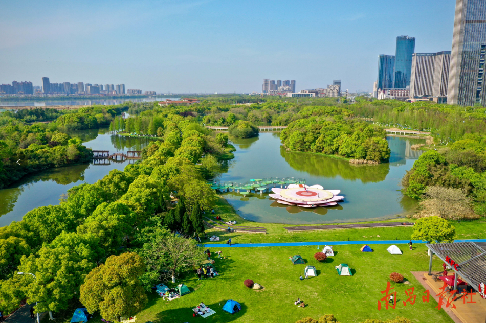 圍嶺公園最新消息，打造城市綠色新名片