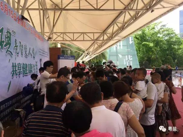 廣東鹽業(yè)改革最新消息，邁向高質量發(fā)展的關鍵步伐