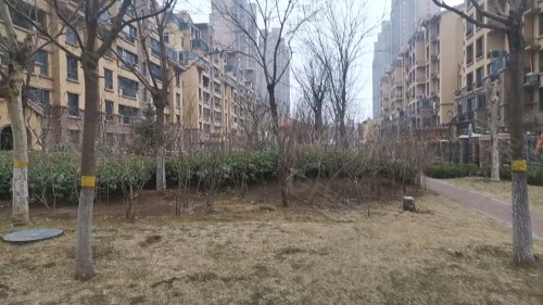 香邑瀾山最新房價(jià)動態(tài)分析