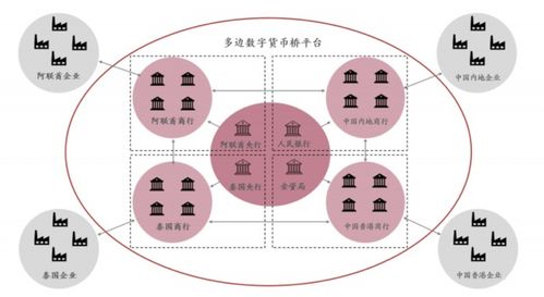 云尊幣最新消息，探索數(shù)字貨幣的新里程碑