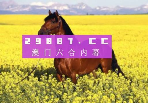 新粵門六舍彩資料免費(fèi)，探索與解析