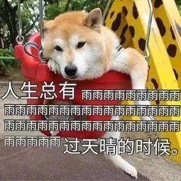 警惕虛假預測，今晚澳門特馬開什么與四不像的真相揭秘