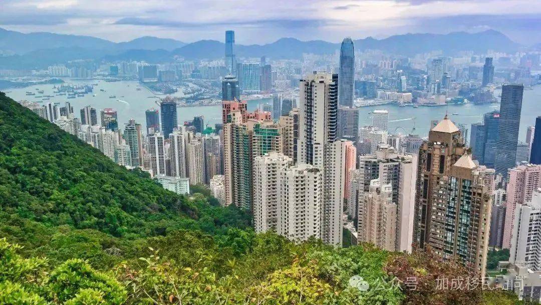 二四六香港管家婆期期準(zhǔn)資料大全，深度解析與實用指南