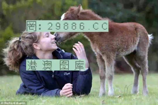 澳門平特一肖，揭秘預(yù)測準(zhǔn)確率背后的真相
