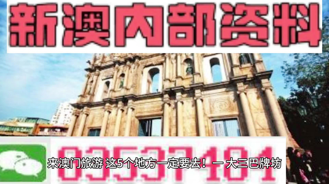 新澳門最精準(zhǔn)正最精準(zhǔn)龍門，探索與解析