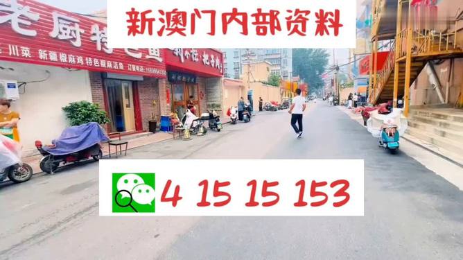 新2024年澳門天天開好彩，探索彩票文化的新紀(jì)元