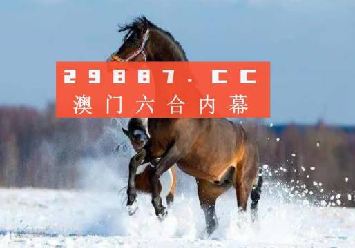 澳門一肖一碼一必中一肖同舟前進(jìn)，探索與希望