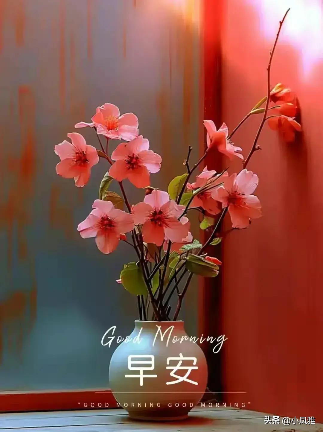 探索真實(shí)，2024天天彩正版資料大全