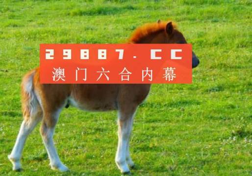 澳門必中一一肖一碼服務(wù)內(nèi)容——揭示背后的風險與警示