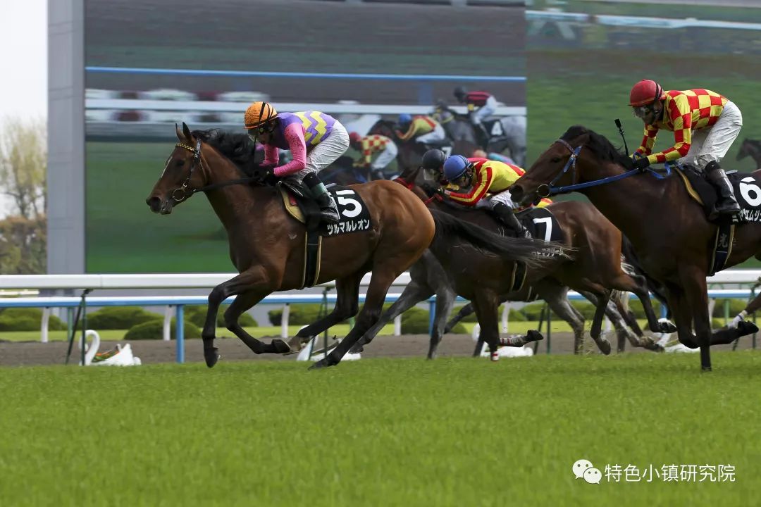 今晚香港開特馬，探尋賽馬運動的魅力與未來展望