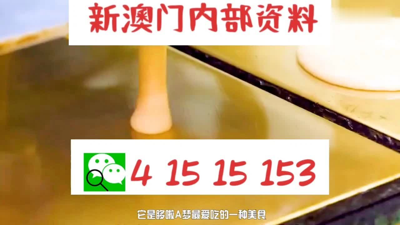 澳門彩票，2024年天天開好彩的期待與探索