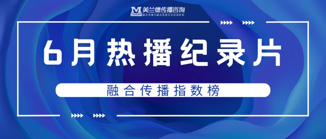 管家婆一肖一馬一中一特，揭秘神秘命運(yùn)之輪下的故事