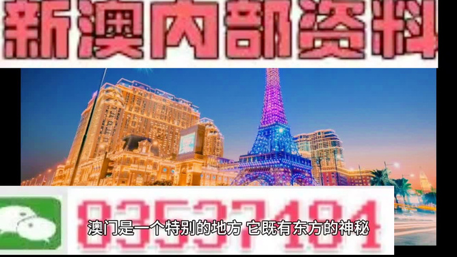 新澳門跑狗圖今晚特，探索未知，期待驚喜