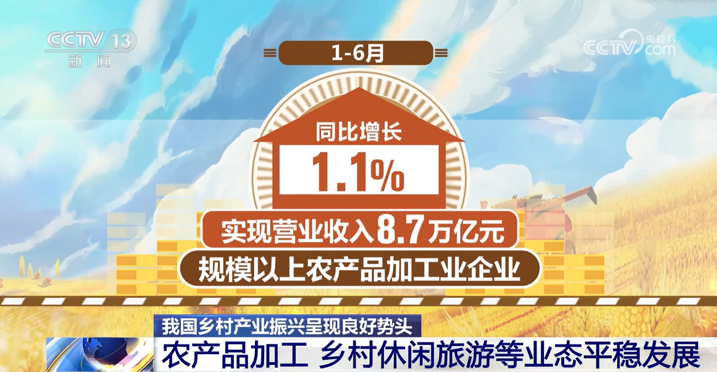 新澳門免費(fèi)資料大全在線查看，探索與解讀