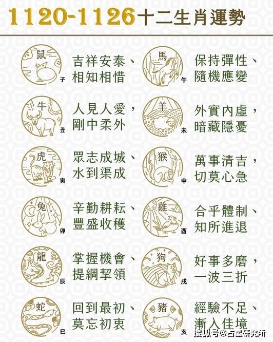 揭秘精準(zhǔn)一肖一碼，探尋命理預(yù)測的真諦與智慧