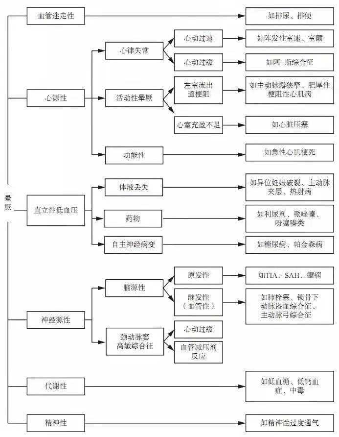 澳門100%最準(zhǔn)一肖，探索背后的神秘與魅力