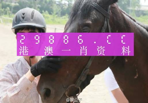 澳門一肖一碼一特一中云騎士，探索神秘與魅力的交匯點