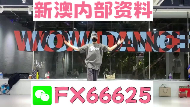 管家婆一碼一肖一種大全，揭秘神秘預(yù)測背后的故事