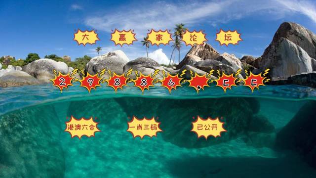 澳門天天開好彩大全，探索與期待第65期的精彩瞬間