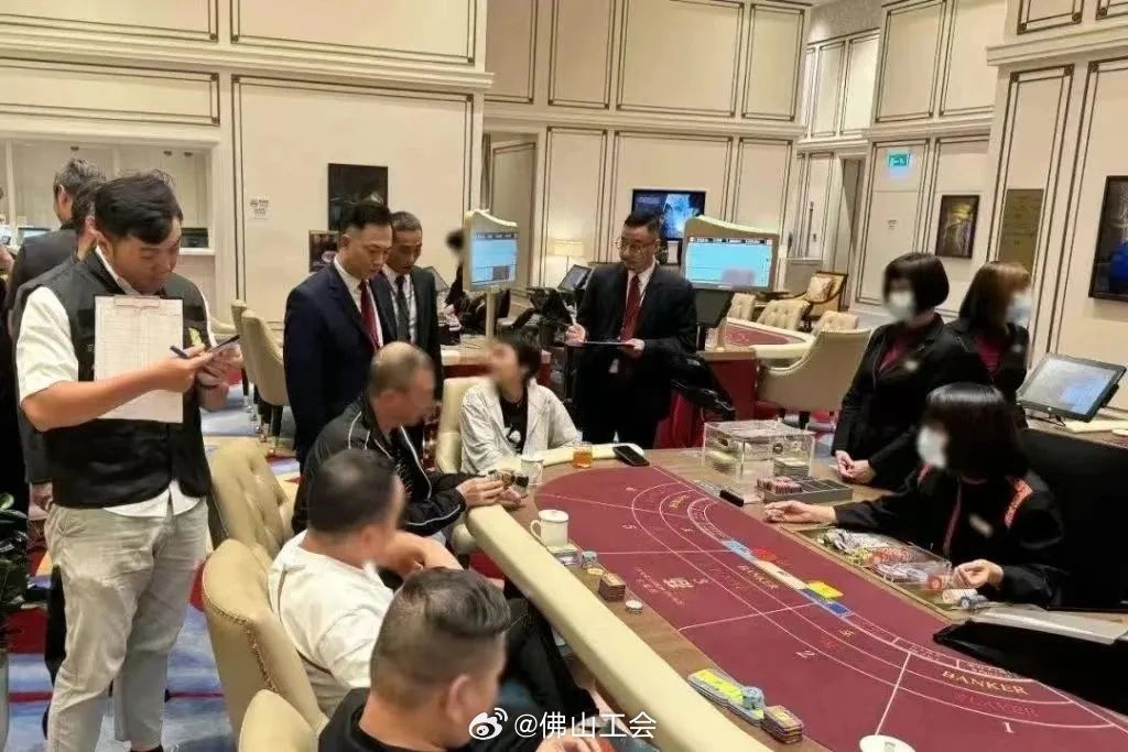 澳門一肖一碼資料與肖一碼，揭示背后的違法犯罪問題