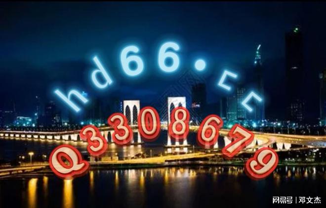新澳資料大全正版資料2024年免費，全面解析與前瞻性探討