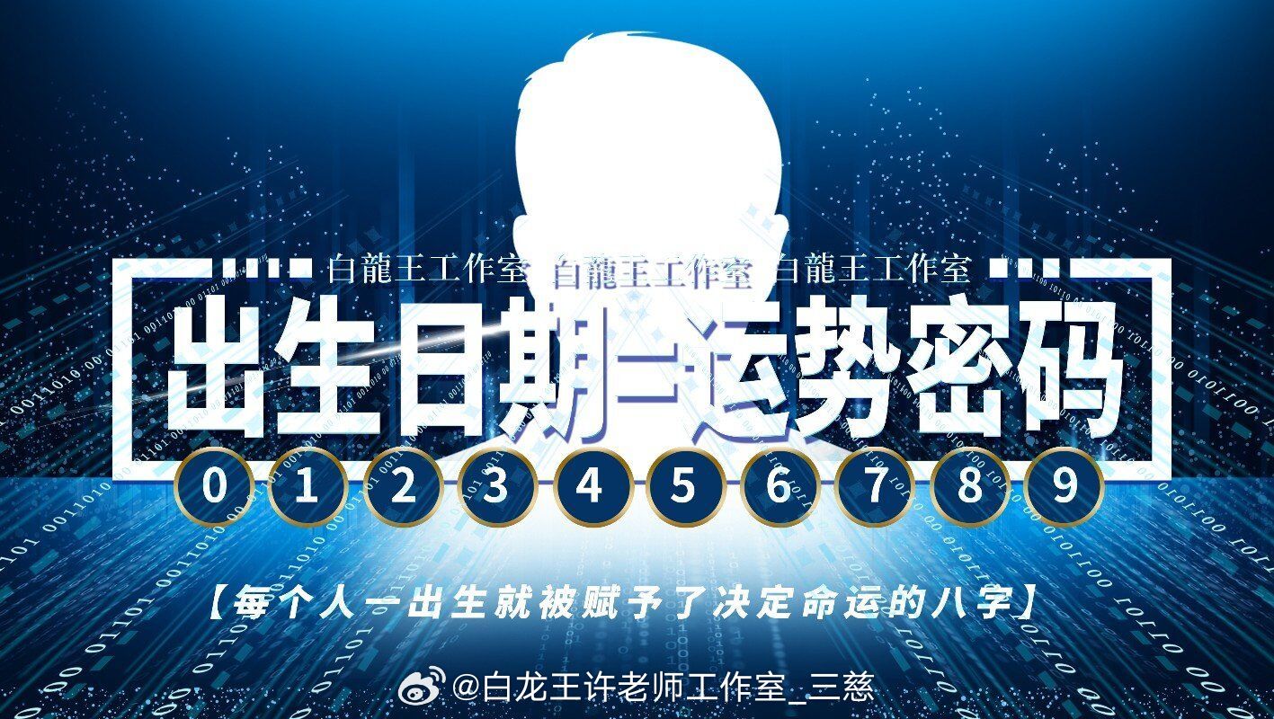 一肖一碼，探索數(shù)字與生肖的奧秘