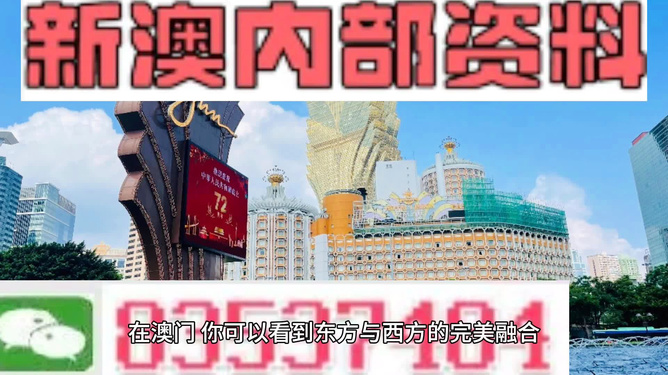 新澳今天最新資料網(wǎng)站，探索與啟示