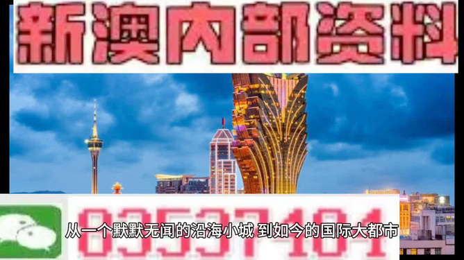 新澳精準(zhǔn)資料免費(fèi)提供，探索第510期的奧秘與價值