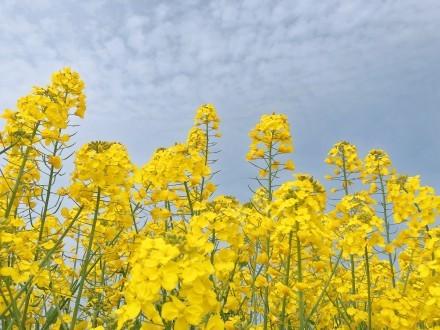 周末龍門陣最新一期，深度探討與生活的新發(fā)現(xiàn)