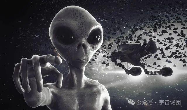 探索未來，揭秘神秘的四不像圖片在2024年的新面貌