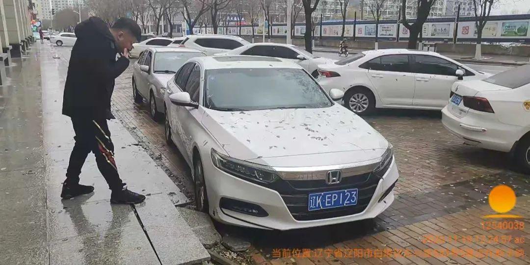 遼陽(yáng)車牌最新號(hào)段，解讀與影響分析