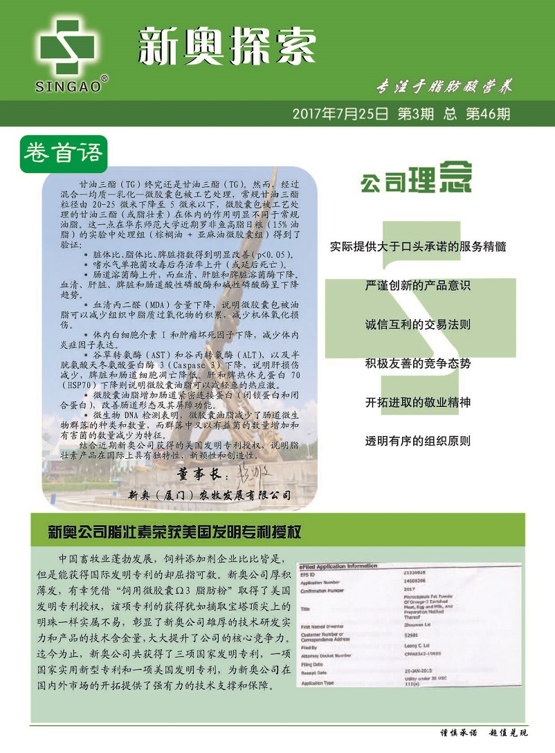 新澳2024大全正版免費資料，探索與解析