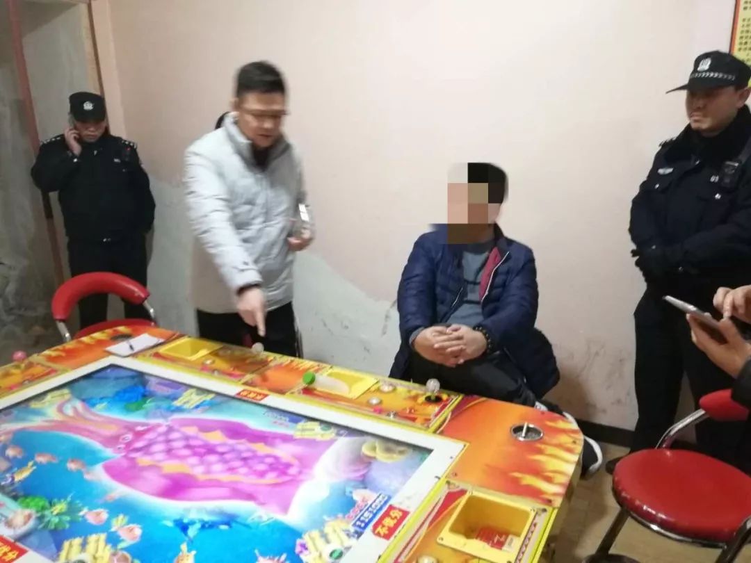 澳門一肖中100%期期準(zhǔn)，揭示背后的違法犯罪問題