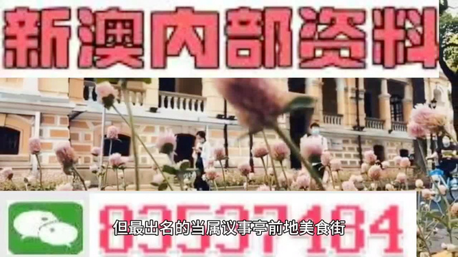 關(guān)于2024新澳資料免費(fèi)精準(zhǔn)17期的違法犯罪問題探討