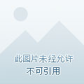 衡水小區(qū)房?jī)r(jià)最新排名，市場(chǎng)分析與趨勢(shì)預(yù)測(cè)