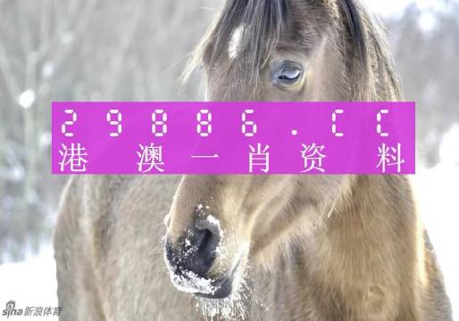 澳門精準(zhǔn)一肖一碼100%，揭示背后的犯罪問題