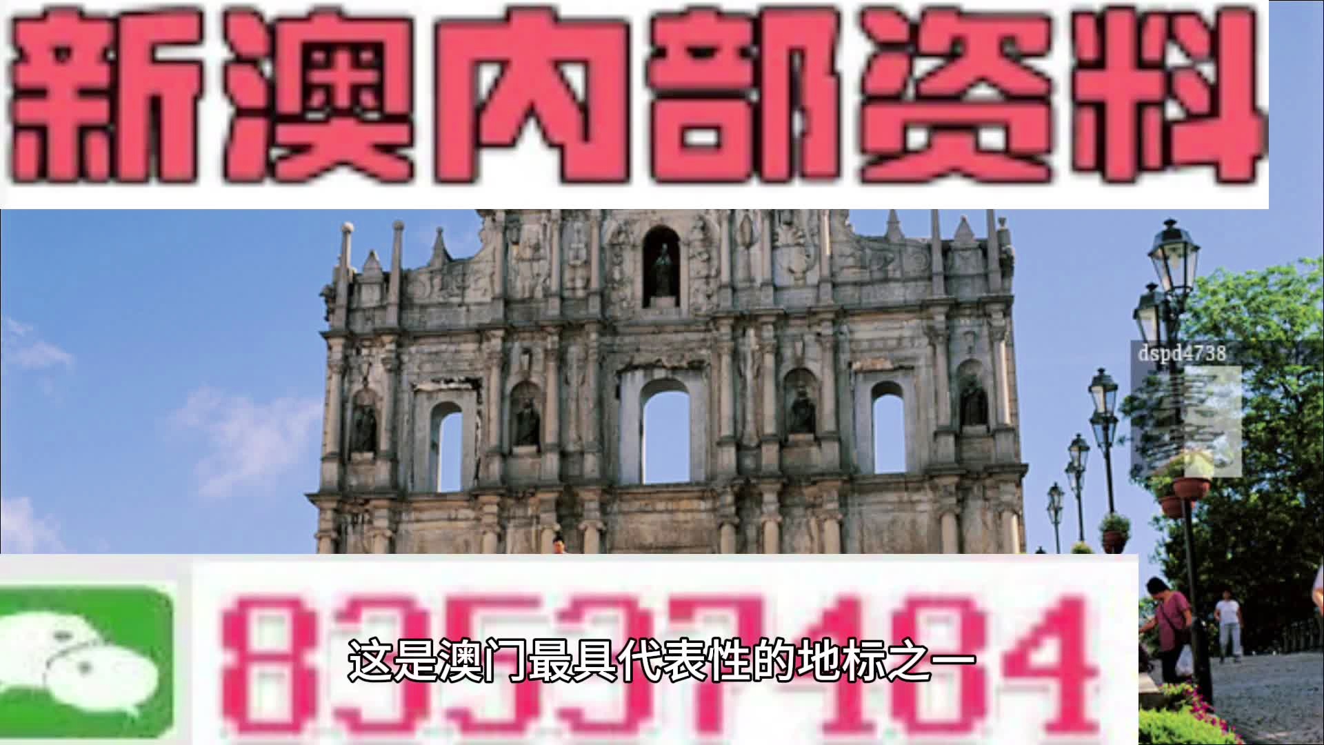 關(guān)于新澳門2024年正版免費公開的問題——揭示真相，警惕風(fēng)險
