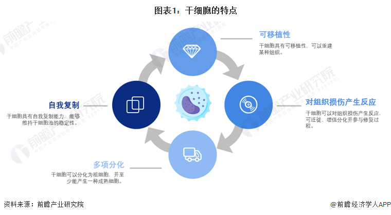 安沂華干細(xì)胞最新進(jìn)展，突破與創(chuàng)新的前沿科技