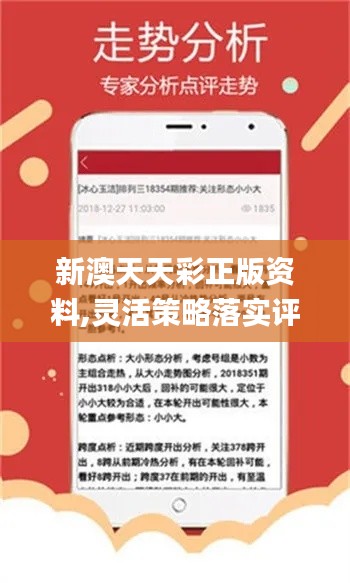 新奧天天免費(fèi)資料單雙，探索與解析